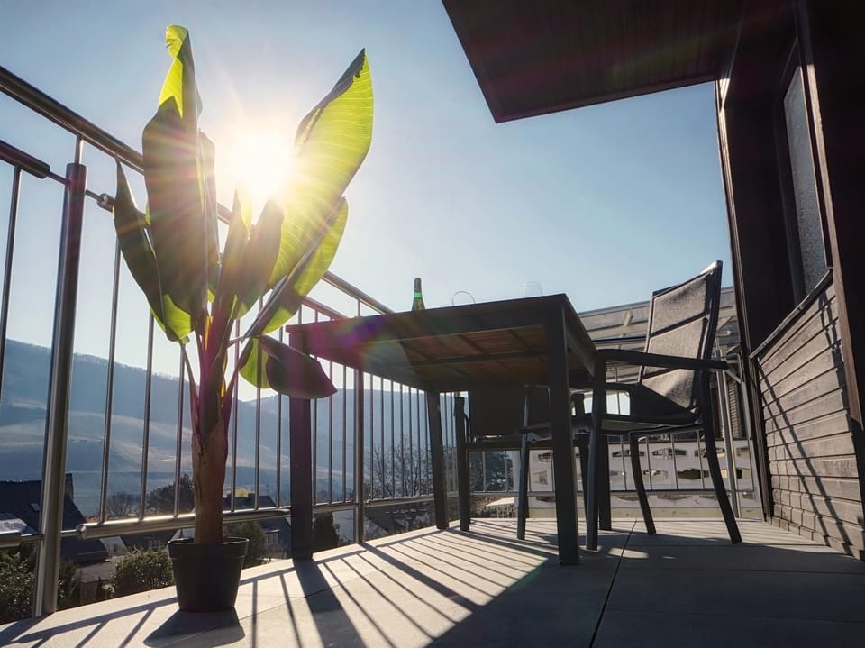 Ferienwohnung Traumblick Apartment in Graach an der Mosel