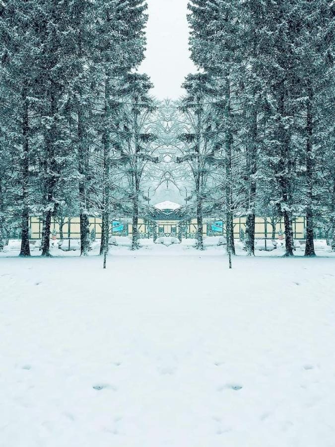 Staff, Winter