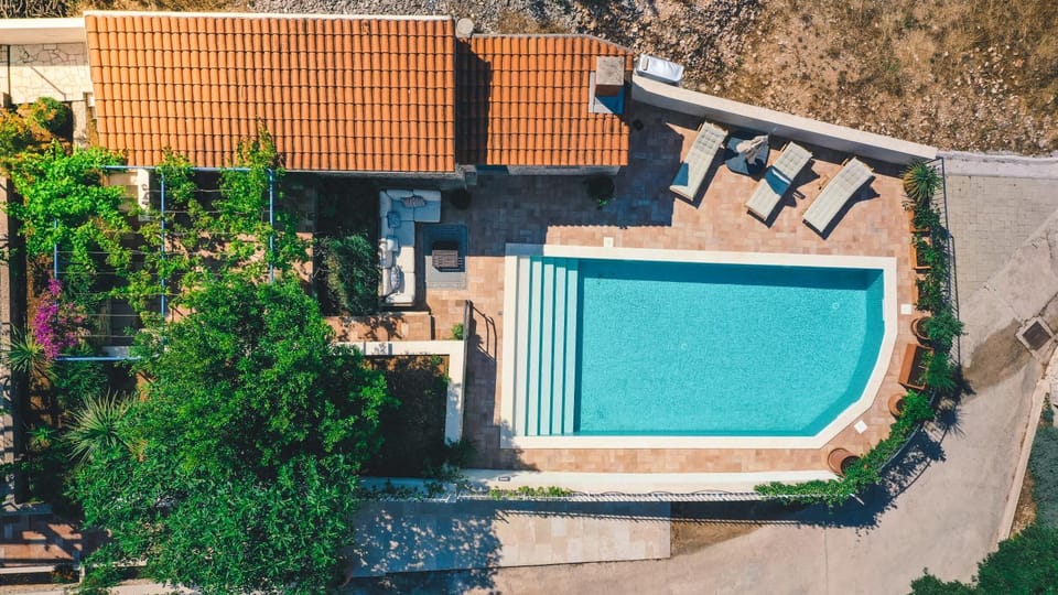 Day, Garden, Garden view, Pool view, Swimming pool, sunbed