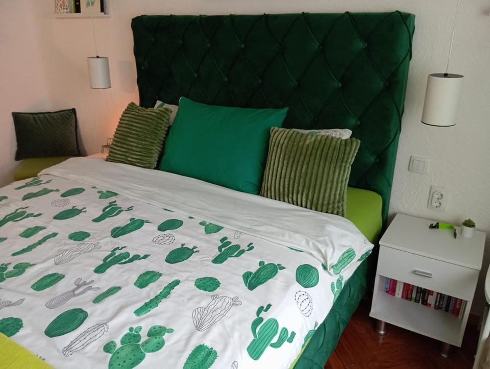 Green Cactus Rooms - unique and cozy house Apartment in Vojvodina