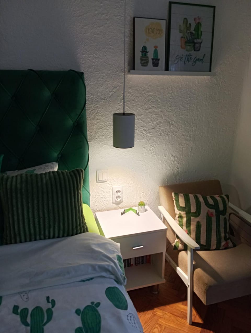Green Cactus Rooms - unique and cozy house Apartment in Vojvodina