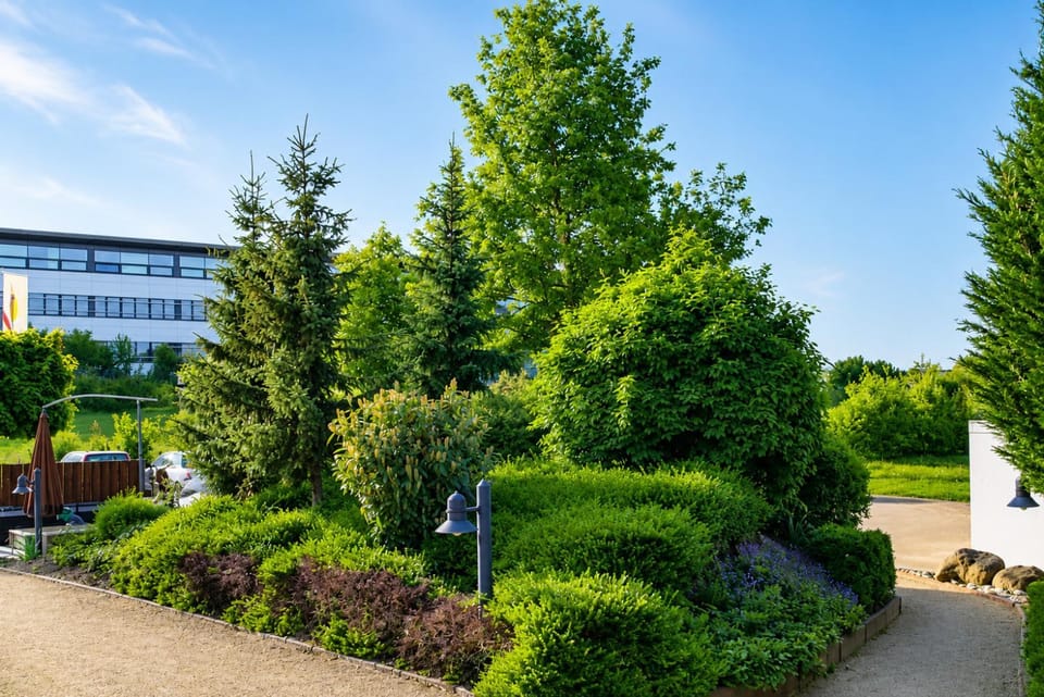 Garden