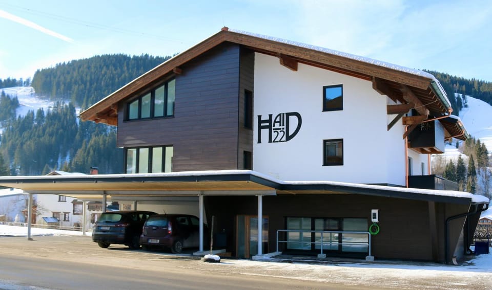 Apart-Pension Seiwald Apartment in Salzburgerland