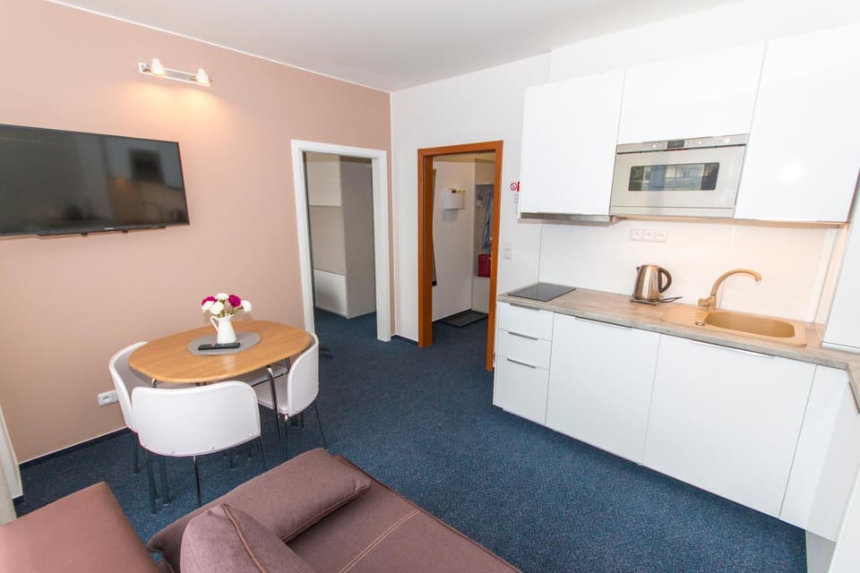 Kamalip Apartment Frymburk Apartment in South Bohemian Region