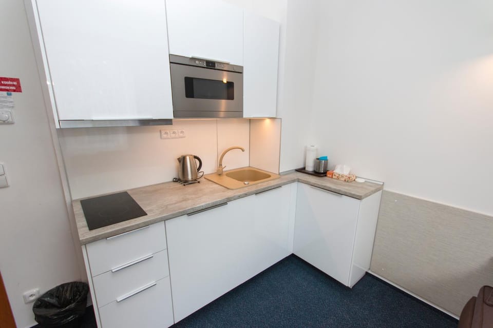 Kamalip Apartment Frymburk Apartment in South Bohemian Region
