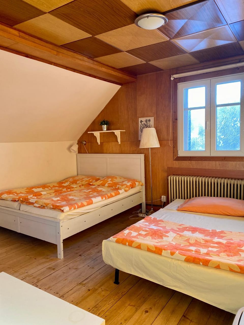 Turistická Chata Pláně Bed and Breakfast in Saxony