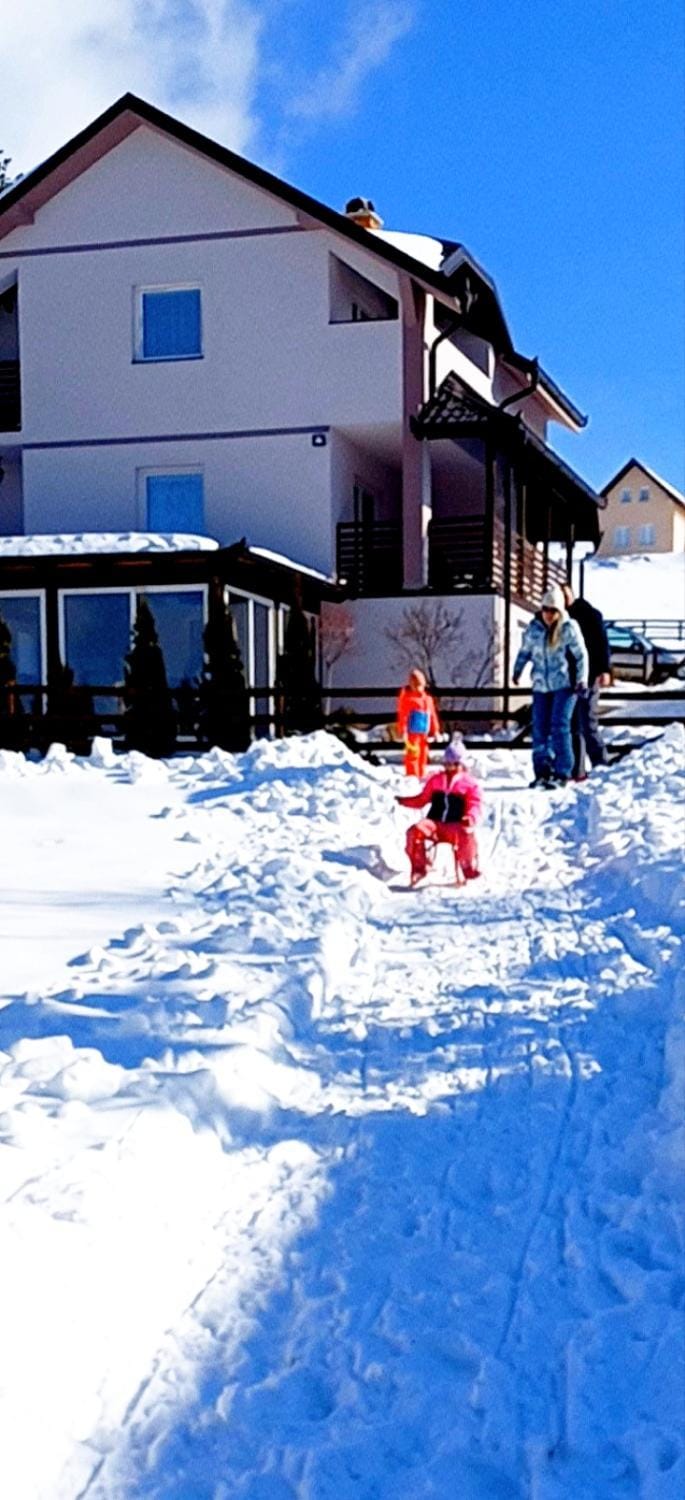 Vila Dzavric Apartment in Zlatibor
