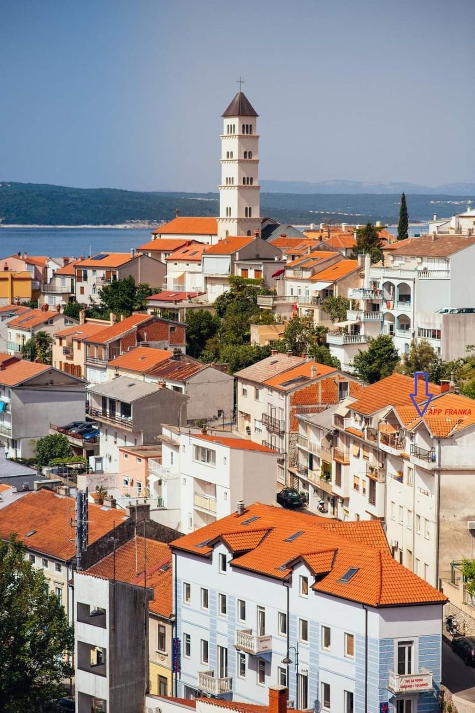 Neighbourhood, Bird's eye view, Street view, Location