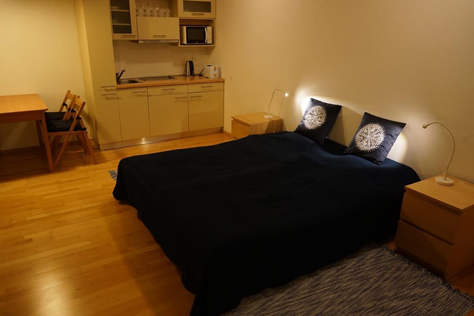 Bed, Kitchen or kitchenette, Living room, Photo of the whole room, Bedroom