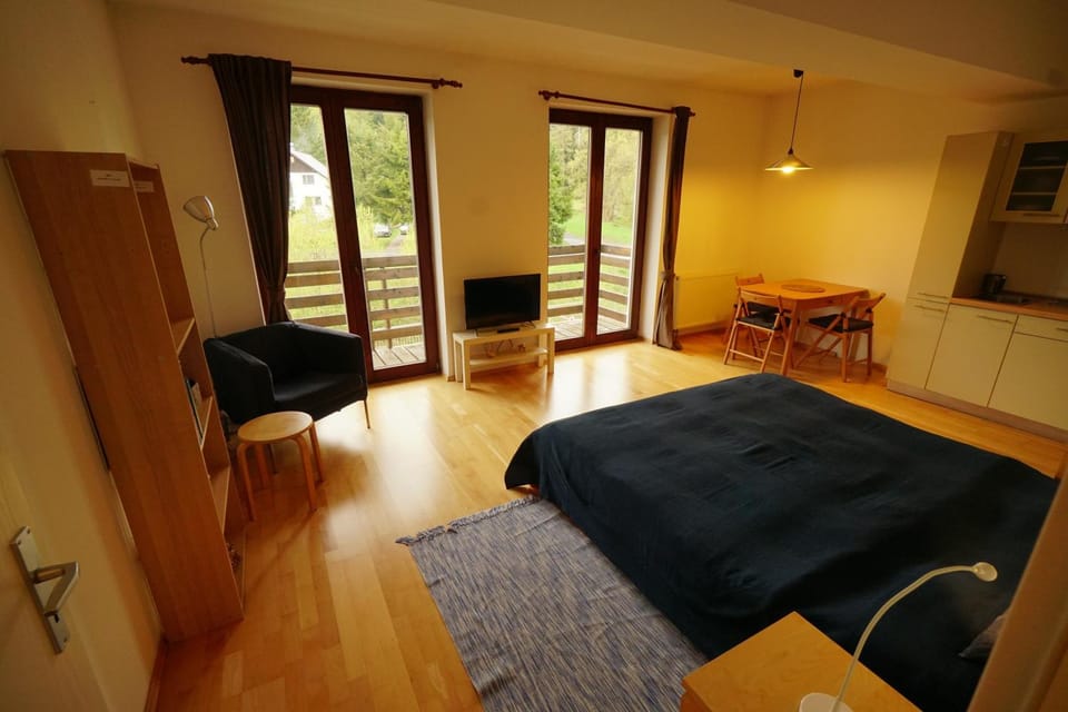 Library, TV and multimedia, Living room, Seating area, Dining area, Bedroom