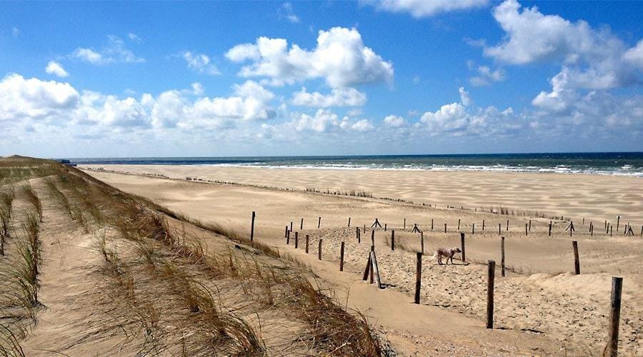 Natural landscape, Beach, Hiking