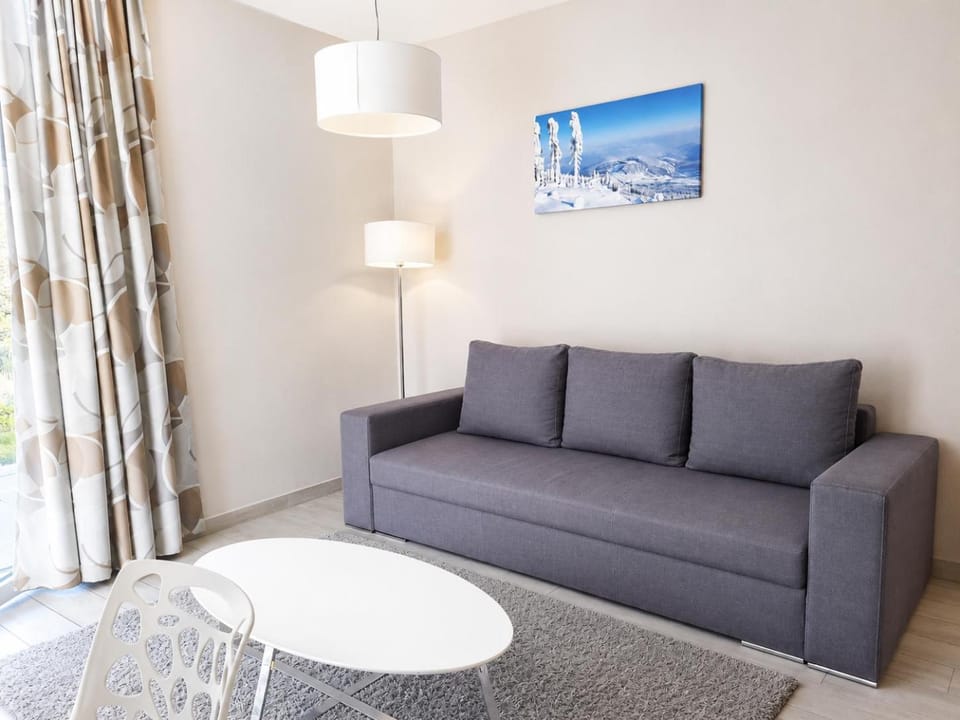 Apartament Czarna Góra B11 Apartment in Lower Silesian Voivodeship