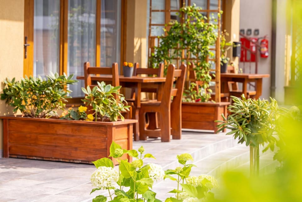 Spring, Day, Garden, Garden view