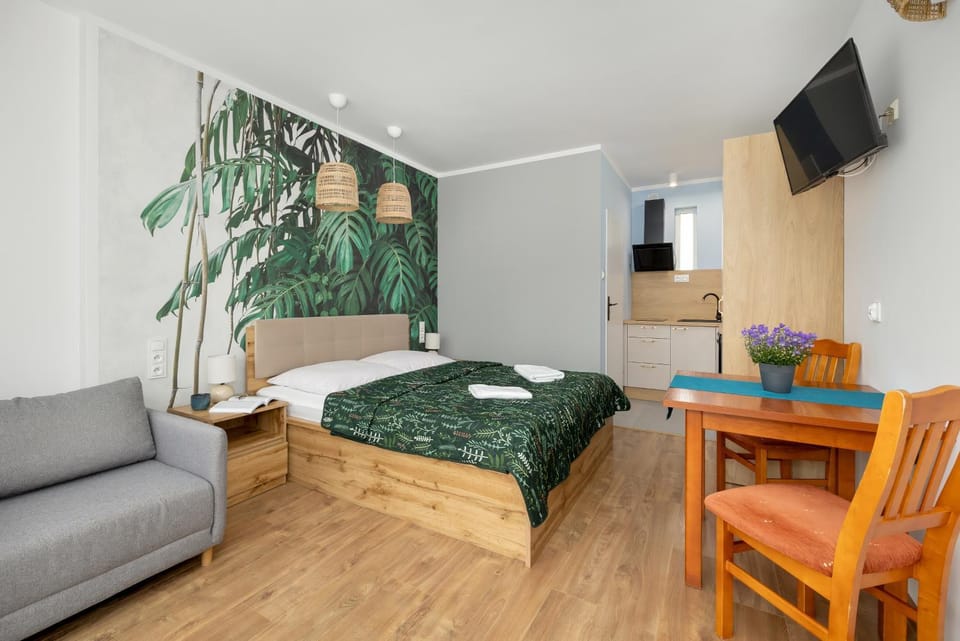 Bed, TV and multimedia, Photo of the whole room