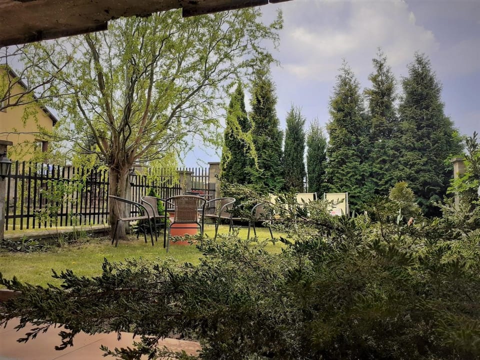 Patio, Garden