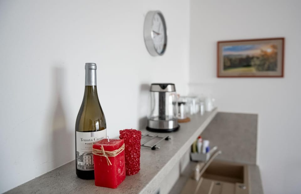 Lipno Wellness - Frymburk C 401 Apartment in South Bohemian Region