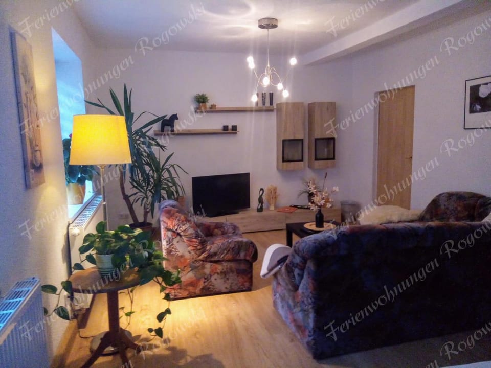 Ferienwohnung Rogowski Apartment in Erzgebirgskreis