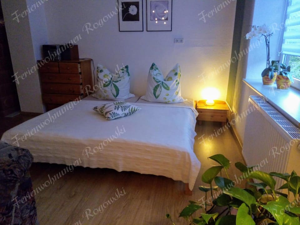 Ferienwohnung Rogowski Apartment in Erzgebirgskreis
