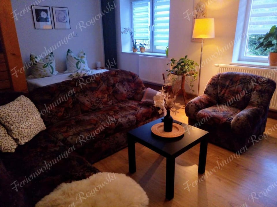 Ferienwohnung Rogowski Apartment in Erzgebirgskreis
