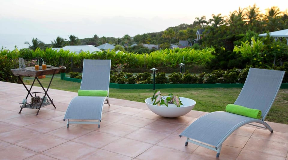 Patio, Natural landscape, Garden, Garden view, sunbed