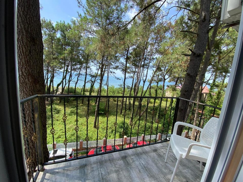 Bajo Shekvetili Hotel in Georgia