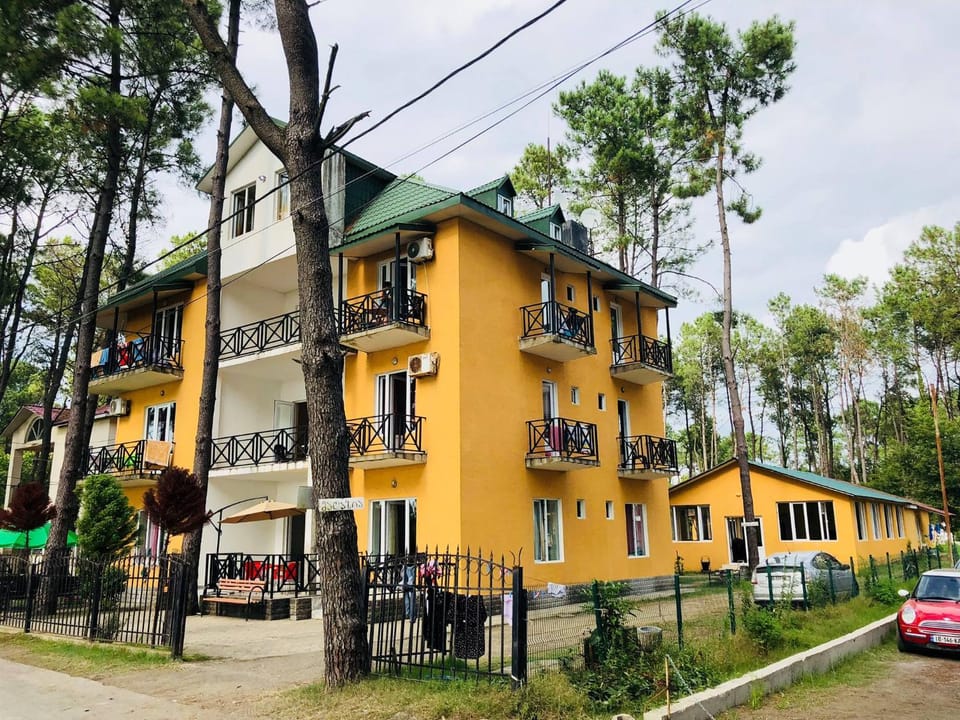Bajo Shekvetili Hotel in Georgia