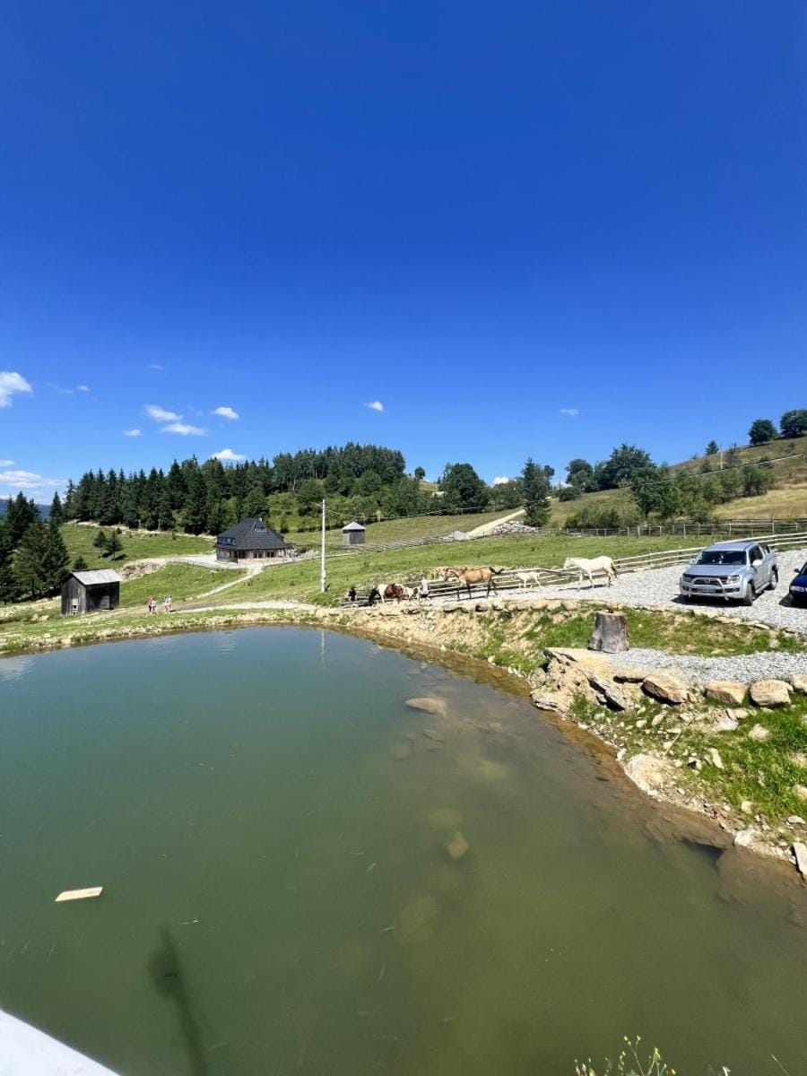 Cabana Agroturistica Runc Bed and Breakfast in Romania