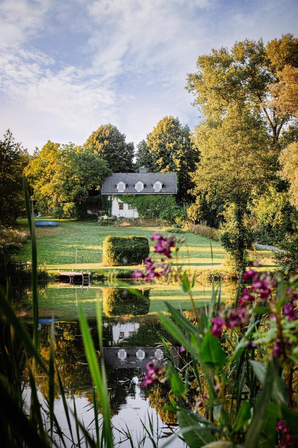 Natural landscape, Garden, Garden view, Lake view