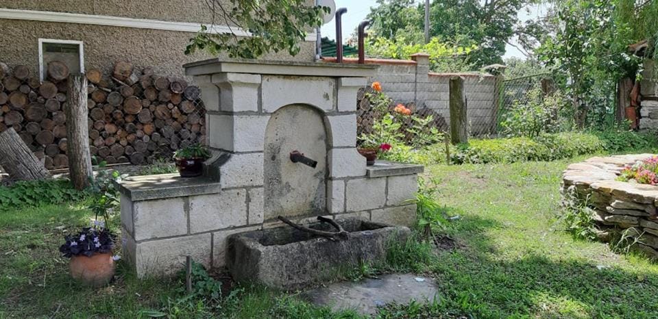 Под старата липа House in Varna Province