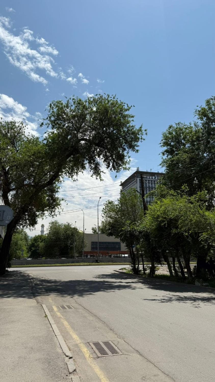 Pana Inn Bed and Breakfast in Almaty
