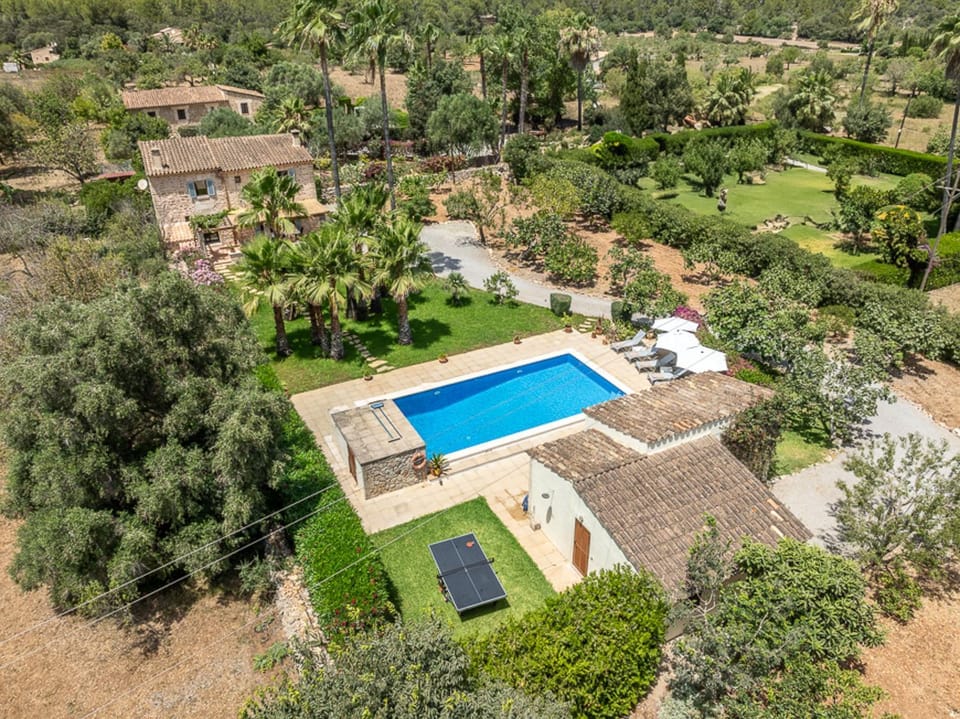 Garden, Table tennis, Garden view, Swimming pool, sunbed