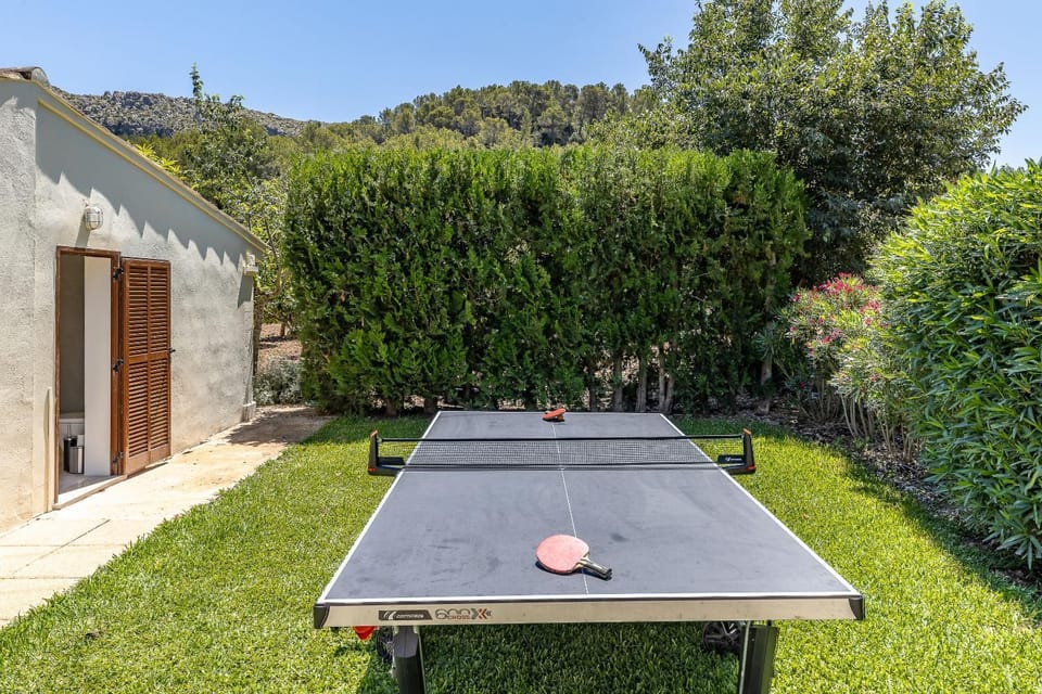 Garden, Table tennis