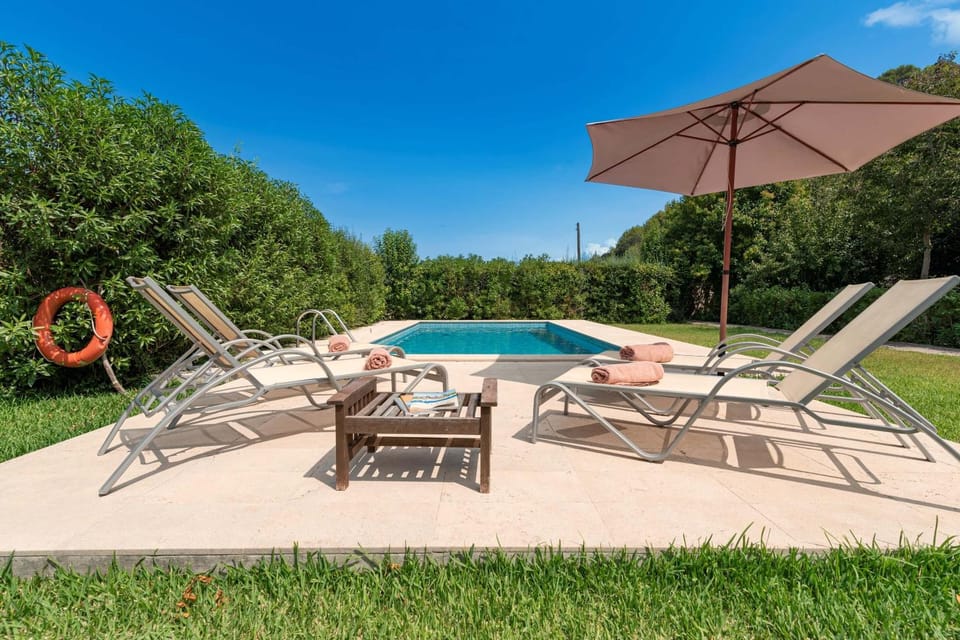 Natural landscape, Garden, Garden view, Swimming pool, sunbed