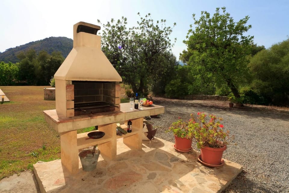 Patio, Day, BBQ facilities, Garden, Garden view, Mountain view