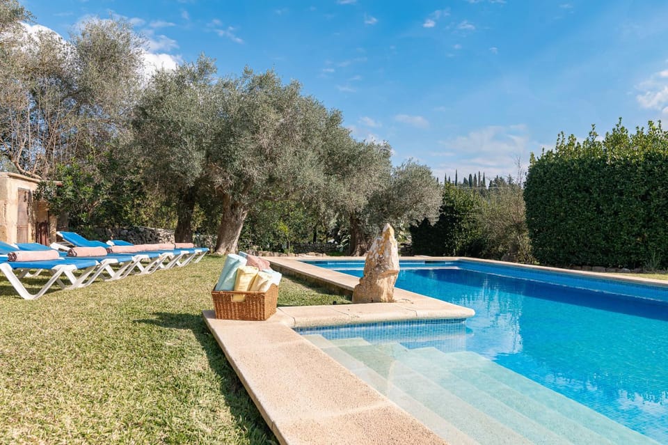 Day, Garden, Garden view, Pool view, Swimming pool, sunbed