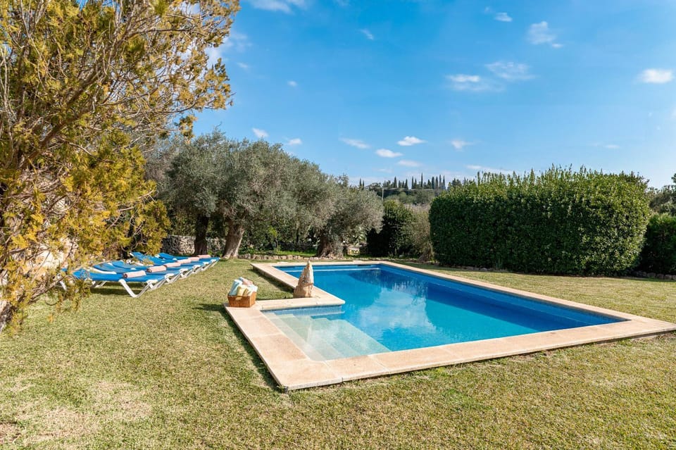 Day, Natural landscape, Garden, Garden view, Pool view, Swimming pool, sunbed