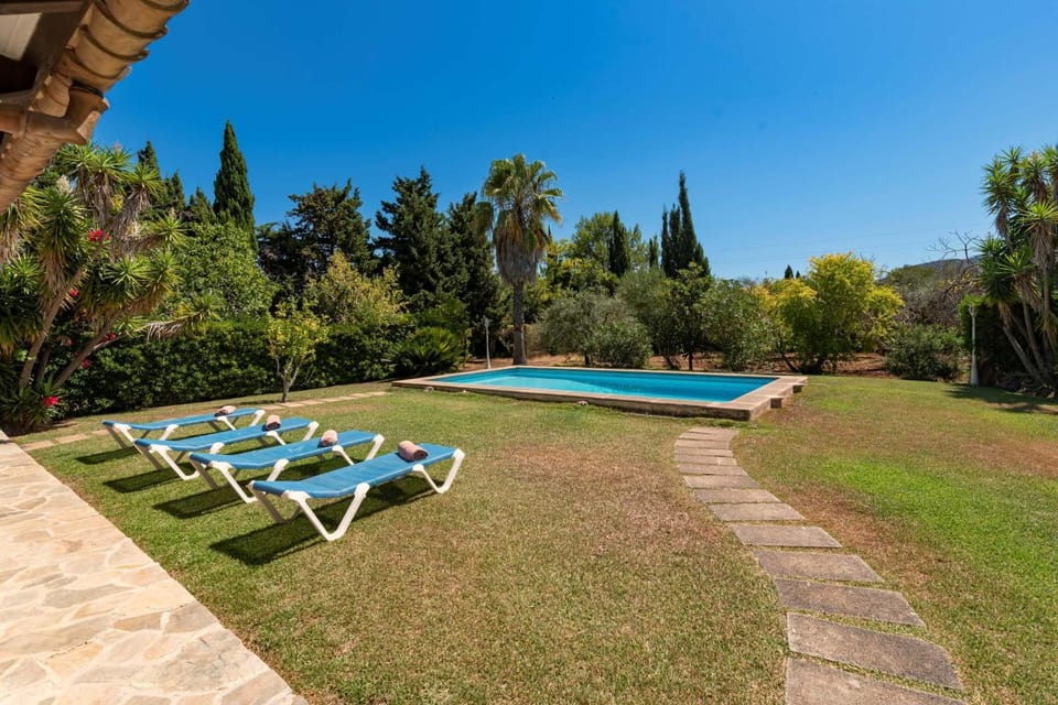 Natural landscape, Garden, Garden view, Pool view, Swimming pool, sunbed