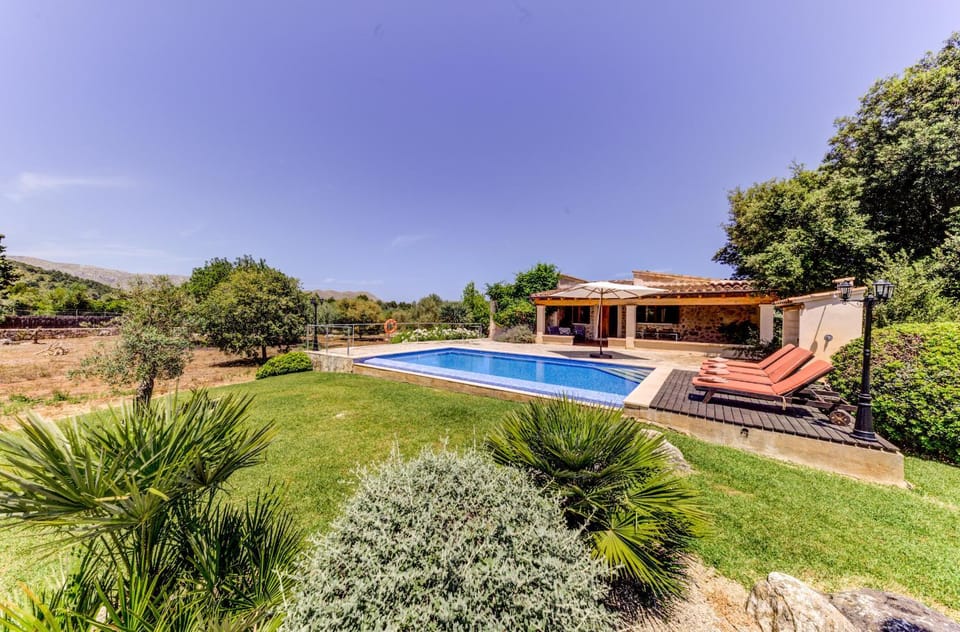 Garden, Garden view, Pool view, Swimming pool, sunbed
