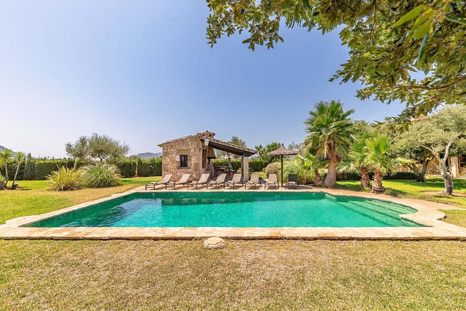 Natural landscape, Garden, Garden view, Pool view, Swimming pool, sunbed