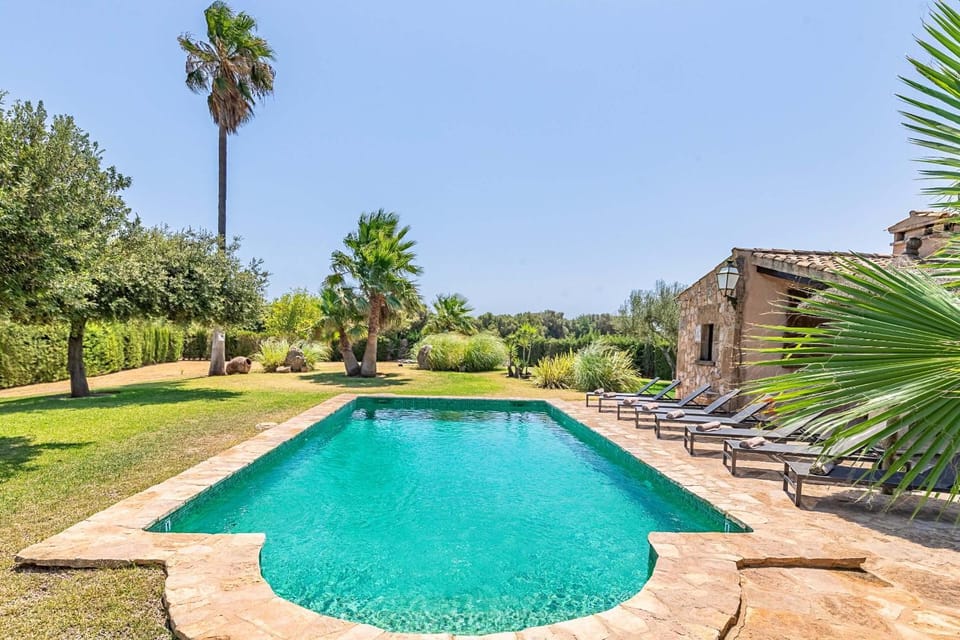 Natural landscape, Garden, Garden view, Pool view, Swimming pool, sunbed