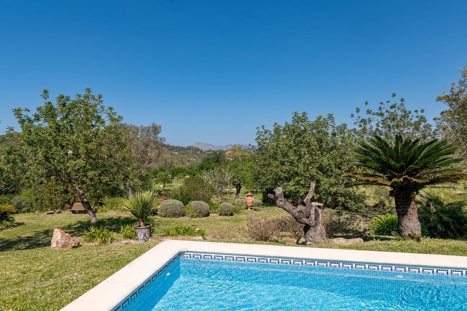 Day, Natural landscape, Garden, Mountain view, Pool view, Swimming pool
