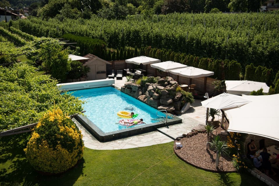 Garden, Pool view, Swimming pool