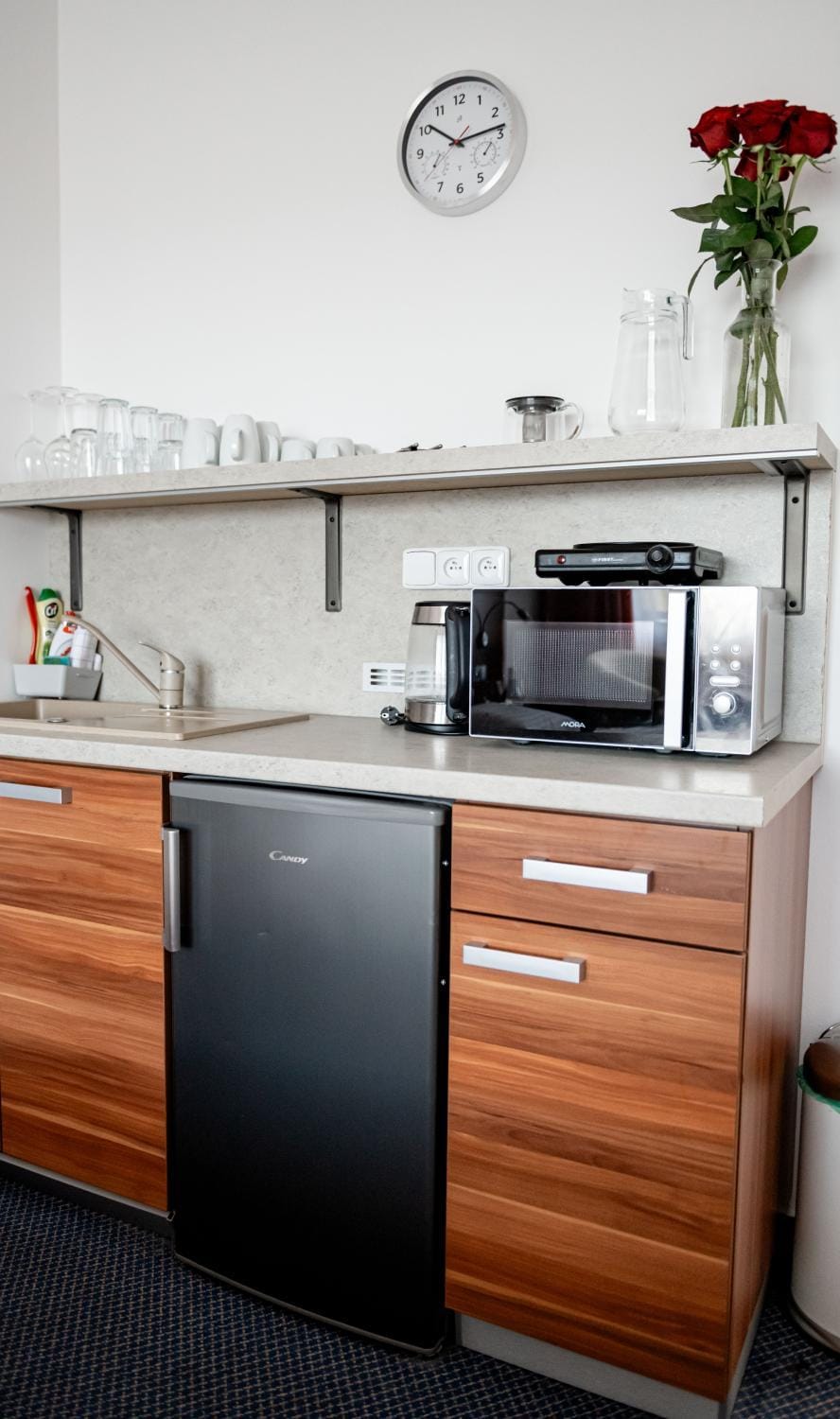 Lipno Wellness - Frymburk C 402-403 Apartment in South Bohemian Region