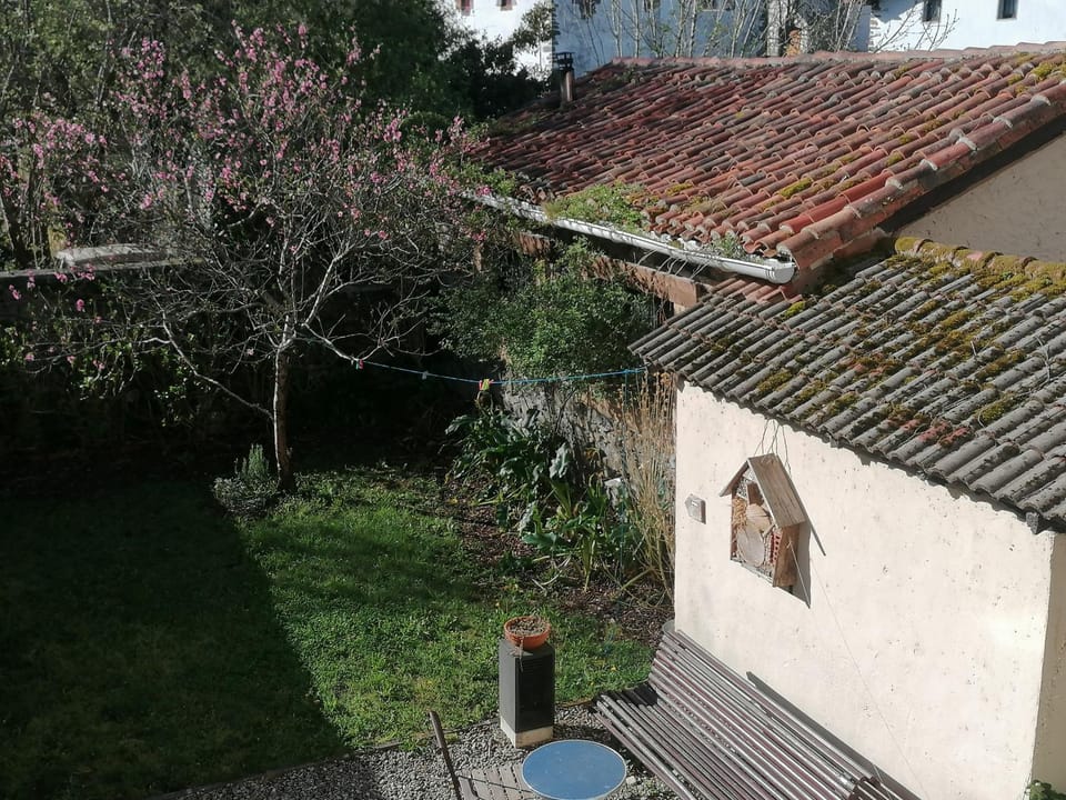 Inner courtyard view