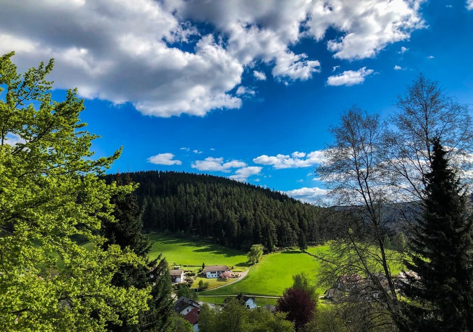 Natural landscape