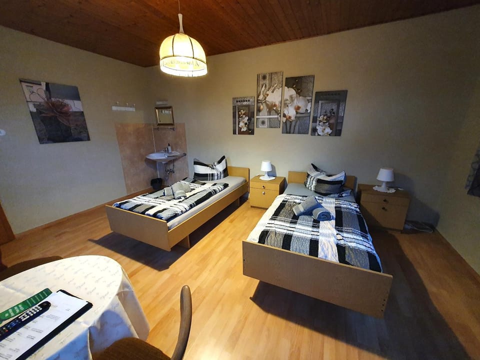 Photo of the whole room