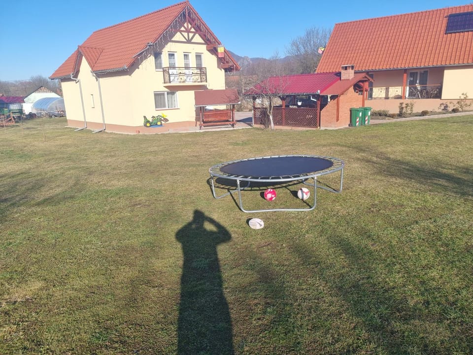 Pensiunea Dan-Ge-La Bed and Breakfast in Romania