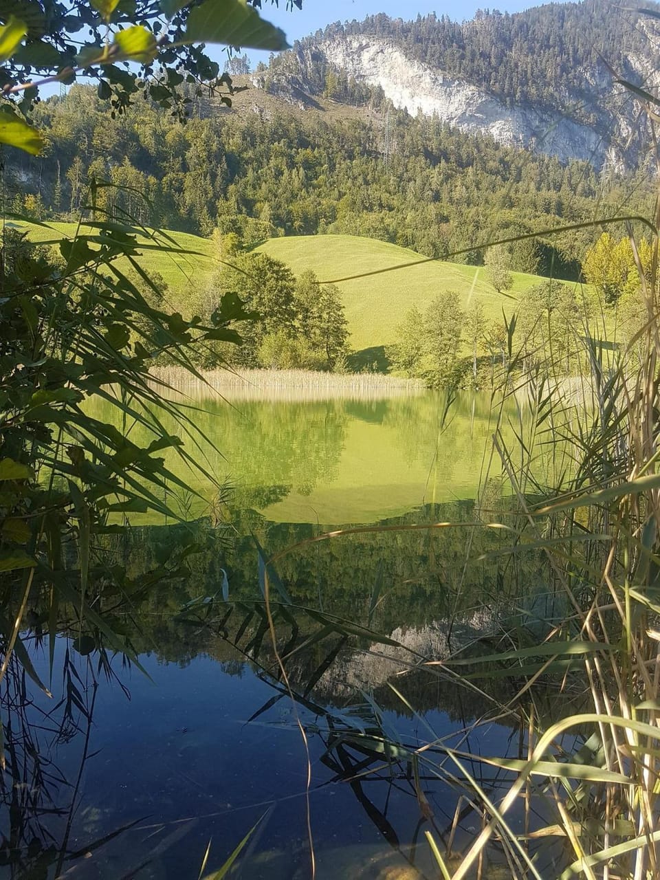 Natural landscape