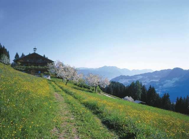 Natural landscape, Mountain view