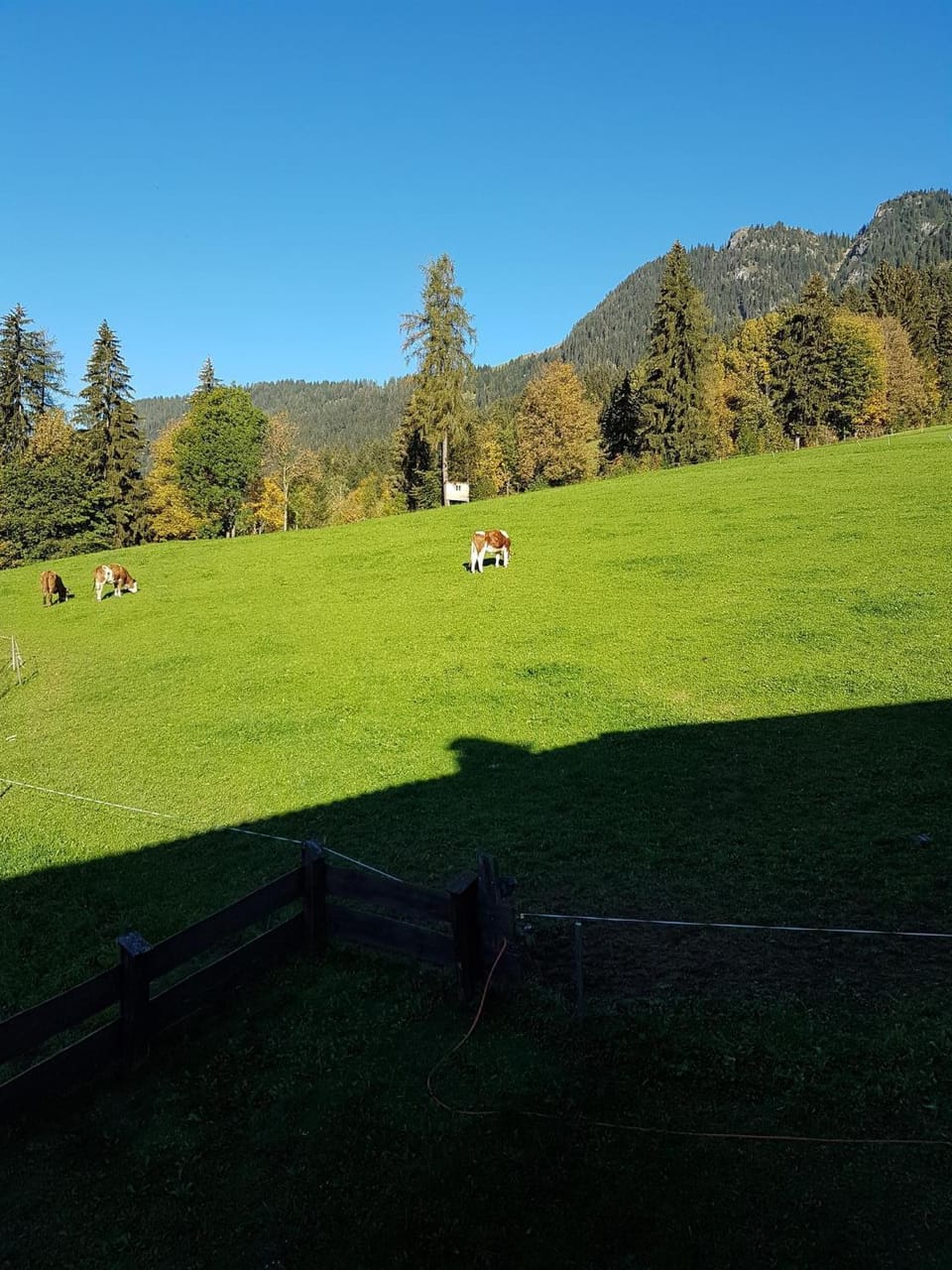 Natural landscape